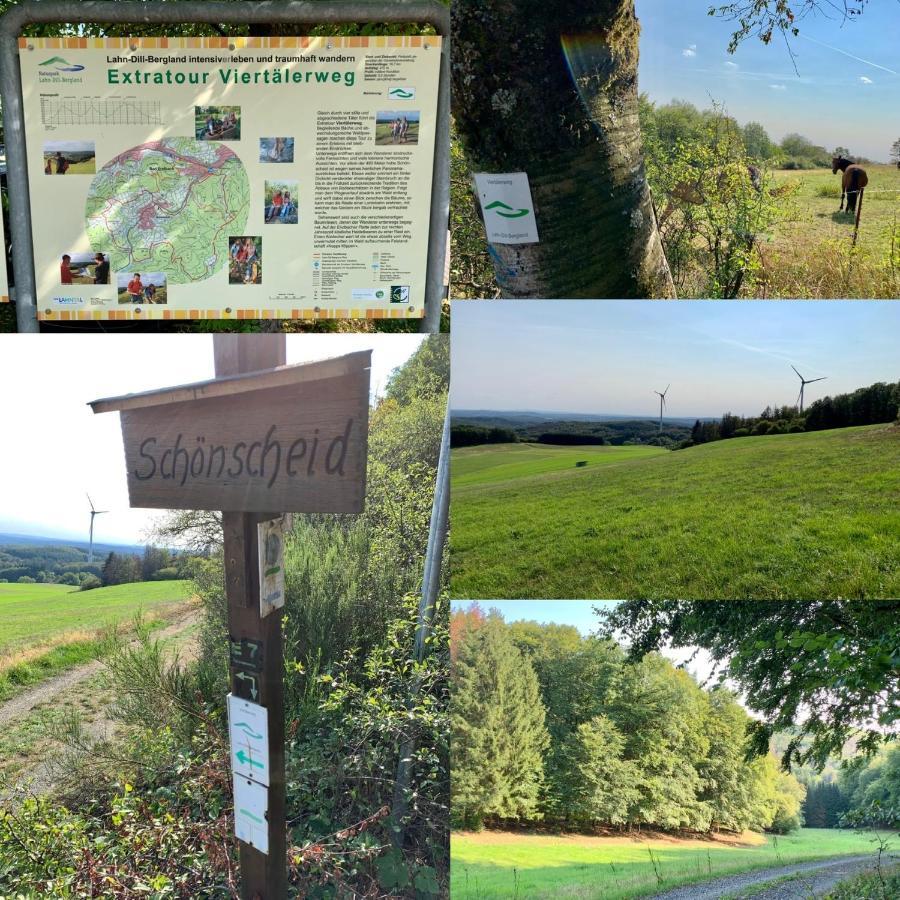 Apartmenthaus Ruhezeit Bad Endbach 外观 照片